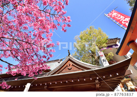 春の櫛田神社 福岡市博多区上川端町 春の櫛田神社 福岡市博多区上川端町 87763837