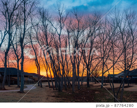 Sunset afterglow saw in a community 87764280