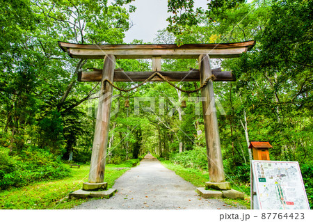 長野県 戸隠神社　～奥社大鳥居～ 87764423