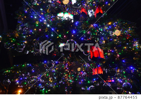 クリスマス・デコレーション（東京都武蔵野市） 87764455