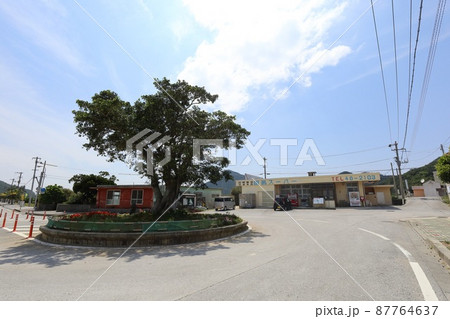 沖縄　伊平屋　島の風景（田名集落） 87764637