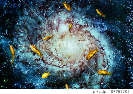 宇宙空間を泳ぐ金魚たち 87765205