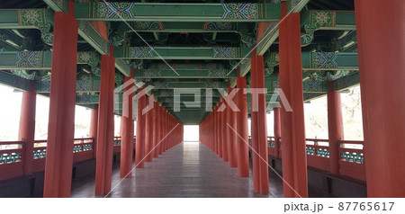 韓国 観光地 木 87765617