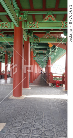 韓国 観光地 木 87765631