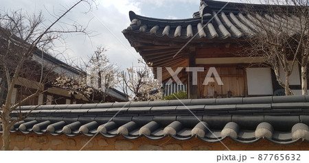 景色 風景 韓国 87765632