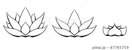 Vector set of contour lotus. Kit of outline water flower for icon. Natural sacred symbol for spa and yoga logo. Vector set of contour lotus. Kit of outline water flower for icon. Natural sacred symbol for spa and yoga logo. 87765759