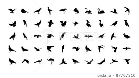A set of vector wild birds templates. Black icons isolated on a white background 87767510