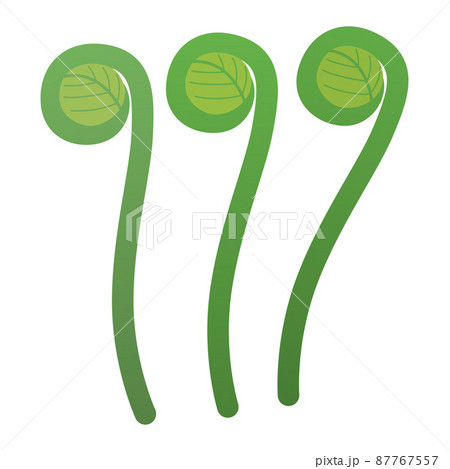 ぜんまいのイラスト 87767557