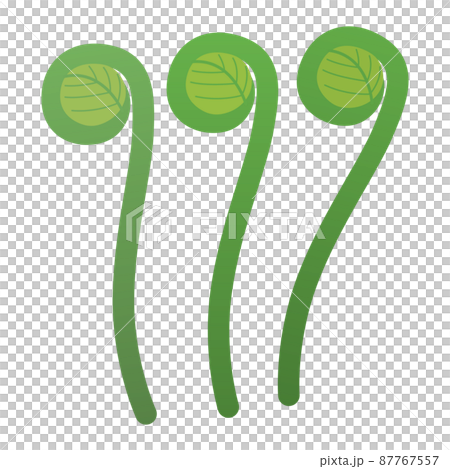 ぜんまいのイラスト 87767557