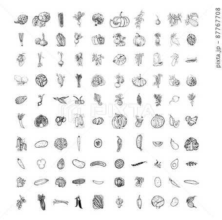 Collection of monochrome illustrations with vegetables in sketch style. Hand drawings in art ink style. Black and white graphics. 87767708