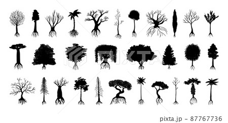 Collection of black silhouettes of various trees with root system. Collection of black silhouettes of various trees with root system. 87767736