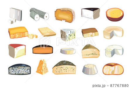 Collection of types of cheeses in a realistic style. 87767880