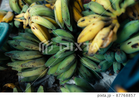 cultivated banana for processing ,Banana in the hand of the seller 87768857