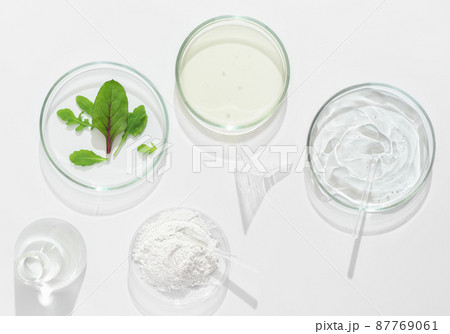 natural cosmetic research in a laboratory, petri dishes and lab glassware with medium, clay powder and green leaves. test for efficiency in vitro. 87769061