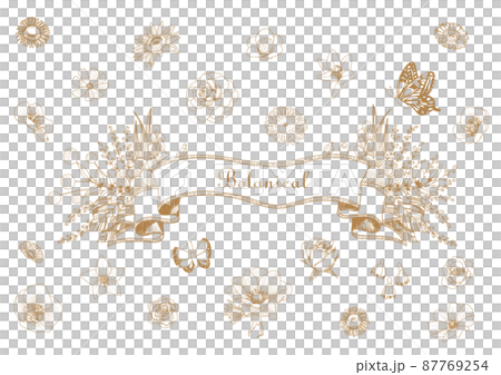Flower line illustration and botanical decorative frame set 87769254