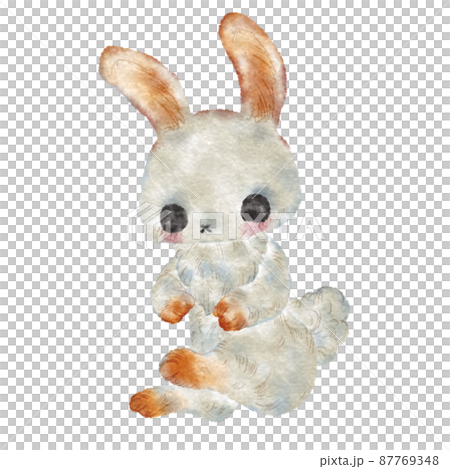 Rabbit Rabbit 87769348