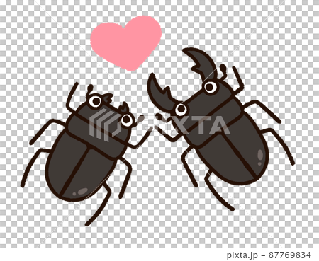 雄鹿甲蟲雄性備用 87769834