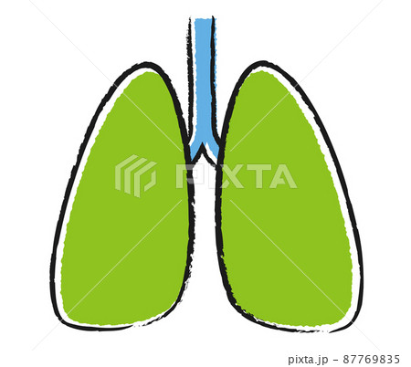 肺のシンプルなイラスト かわいい手描き風のイラスト素材