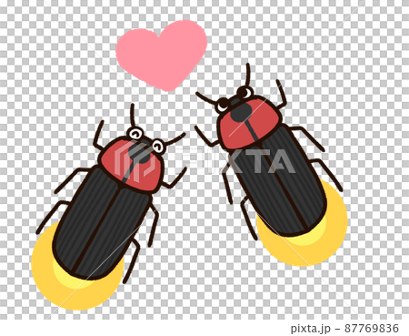 螢火蟲男備用 螢火蟲男備用 87769836