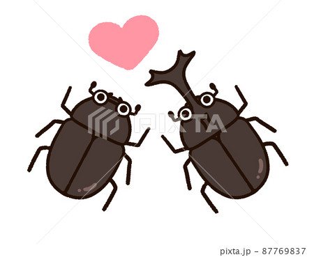 カブトムシのオスメスペア カブトムシのオスメスペア 87769837