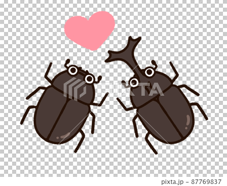 甲蟲男備用 87769837