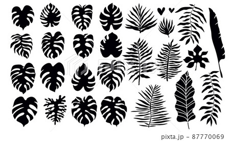 Tropical leaves set 1 87770069