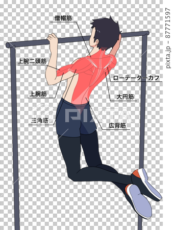 Names of men and muscles who pull up (Japanese) 87771597