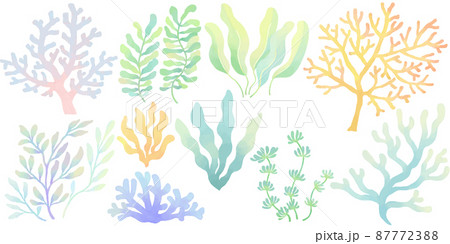 サンゴ・海藻・わかめのセットイラスト 87772388