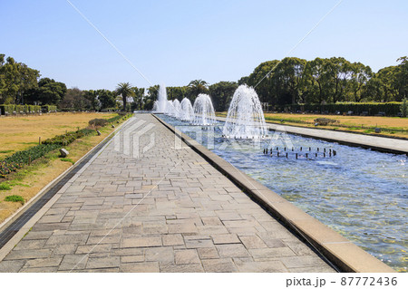 須磨離宮公園　噴水広場と梅園と春の花々 87772436