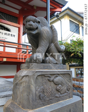 神楽坂の善國寺に残る石虎（狛寅） 87772437