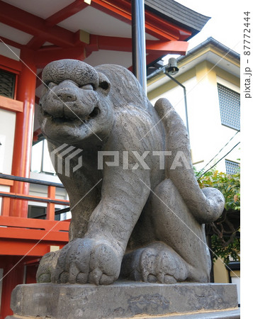 神楽坂の善國寺に残る石虎（狛寅） 87772444