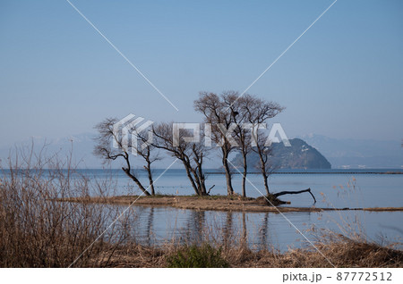 湖北水鳥公園の冬の風景｜滋賀県の美しい景色 87772512
