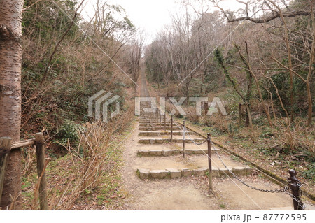公園の長く綺麗な階段 87772595