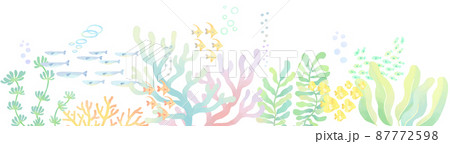 珊瑚と小魚の下ラインフレーム飾り枠 イラスト 珊瑚と小魚の下ラインフレーム飾り枠 イラスト 87772598