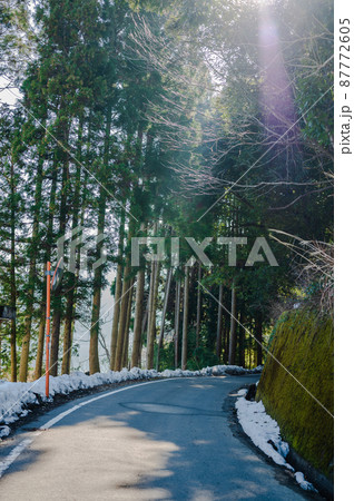 木漏れ日から滴り落ちる雪解け水|余呉湖の冬の風景|滋賀県の美しい景色 木漏れ日から滴り落ちる雪解け水|余呉湖の冬の風景|滋賀県の美しい景色 87772605