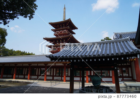 早春の薬師寺境内 早春の薬師寺境内 87773460