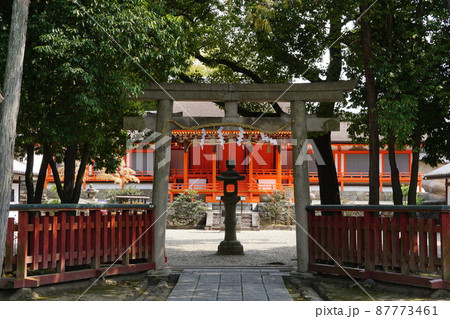 早春の休ヶ岡八幡宮 早春の休ヶ岡八幡宮 87773461