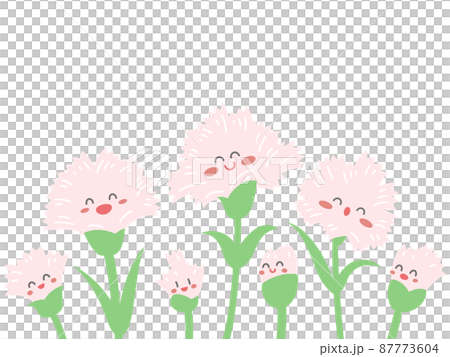 笑顔のカーネーション　線なし3 87773604