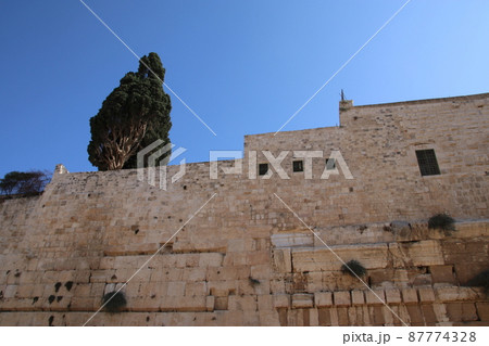 南の壁考古学博物館 87774328