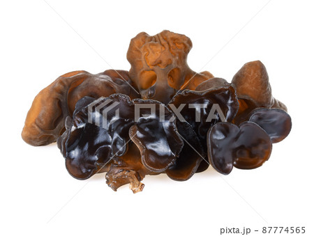 Black fungus on white background.(black ear mushrooms) Black fungus on white background.(black ear mushrooms) 87774565