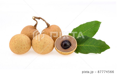 longan. fresh longan isolated on white background 87774566