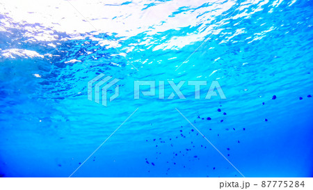 沖縄　阿嘉島のニシハマビーチ　水中写真 87775284