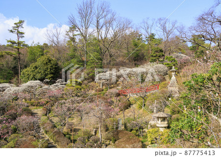 中山寺と満開の梅園 中山寺と満開の梅園 87775413
