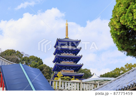 中山寺と満開の梅園 87775459