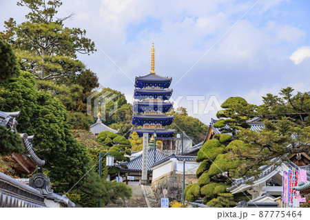 中山寺と満開の梅園 中山寺と満開の梅園 87775464