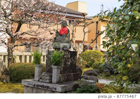 中山寺と満開の梅園 87775467