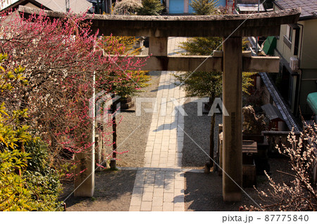 青梅駅近くにある住吉神社の石段から見下ろした鳥居（2） 87775840