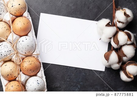Easter eggs and cotton blossom 87775881