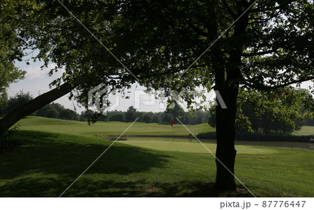 golf course golf course 87776447