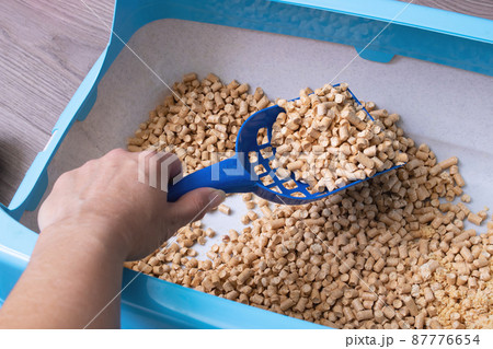 Tray with filler, scoop and cat closeup 87776654